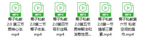 椰子私教2.0
